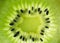 Fresh juicy kiwi fruit slice