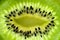 Fresh juicy kiwi fruit slice