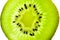 Fresh juicy kiwi fruit slice