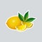 Fresh juicy lemon sticker tasty ripe fruit icon healthy food concept