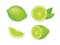 Fresh juicy lime citrus fruit icon set vector isolated on a white background