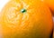 Fresh juicy orange fruit closeup
