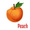 Fresh juicy peach fruit icon