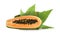Fresh juicy ripe papayas with leaf