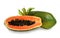 Fresh juicy ripe papayas with leaf on white