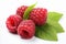 Fresh and juicy ripe raspberry, a vibrant and high quality image isolated on a white background