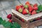 Fresh juicy strawberries with leaves. Rustic wooden box and handmade lace. Retro magazine picture. Strawberry with copy space