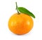 Fresh juicy tangerine