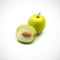 Fresh jujube green isolated on the white background