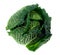 Fresh kale isolated