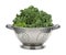 Fresh Kale in a Stainless Steel Colander