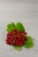 Fresh kalina berry on grey background with copy space. Super food