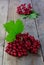 Fresh kalina berry on wooden background close up. Super food