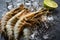 Fresh king prawns on ice on a stone background