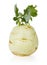 Fresh kohlrabi isolated on white background with clipping path.