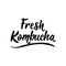 Fresh Kombucha. Vector illustration. Lettering. Ink illustration. Kombucha healthy fermented probiotic tea