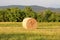 Fresh large hay bale left in local field surrounded with uncut green grass and dense trees