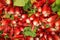 Fresh large radish harvest background close-up