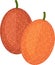 Fresh large sourplum Ximenia caffra fruit