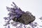Fresh lavender on volcanic rocks