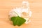 Fresh leaves ginko biloba essential oil and salt