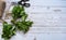 Fresh leaves of melissa and mint, scissors and twine on a wooden background.