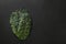 Fresh leaves of popular tuscan kale salad on black background with copy space.