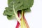 fresh leaves Swiss Chard or Rainbow Chard vegetable isolate on white backgrund. Chard is distinguishable by the color of the chard