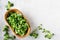 Fresh leaves of young corn or lamb`s lettuce on gray background on a black background.