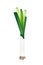 A Fresh Leek on A White Background