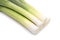 Fresh leeks on white background