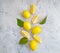 fresh lemon concrete background