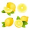 Fresh lemon fruit slice set. Collection of realistic juicy citrus with leaves vector illustration