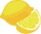 Fresh lemon fruits, collection of vector illustrations. et of juicy bright lemons, cut up, a slice, a whole isolated on