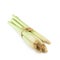 Fresh Lemon grass on a white background