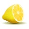 Fresh lemon, half lemon. Vector illustration. Fully editable handmade mesh