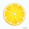 Fresh lemon slice icon on a white