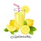 Fresh lemonade with lemon fruit slice. Realistic juicy citrus with leaves vector illustration