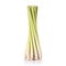 Fresh lemongrass or citronella grass leaf. Studio shot isolated