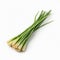 Fresh lemongrass stalk isolated on white, in the style of luminous glazes