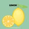 Fresh lemons, Vector.