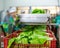 Fresh lettuce in boxes on the sorting line of vegetable processing factory