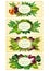 Fresh lettuce and green salad leaves banner set