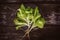 Fresh Lettuce leaveson with root a wooden dark table. Batavia salad. Top view