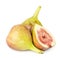 Fresh, light, healthy figs on white background