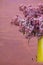 Fresh lilac flowers in the metal yellow pitcher against pink background.