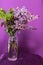 Fresh lilac flowers in a simple glass vase