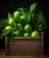 Fresh lime leaf in a wooden container, in the style of nusch, softly organic