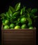 Fresh lime leaf in a wooden container, in the style of nusch, softly organic