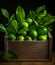 Fresh lime leaf in a wooden container, in the style of nusch Ã©luard, softly organic
